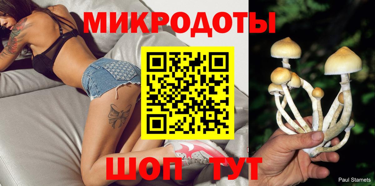 Галлюциногенные грибы Magic Shrooms  Псилоцибиновые грибы Psilocybe  Ставрополь  Вход с VPN 
